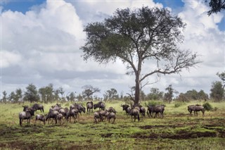 Južna Afrika vremenska prognoza