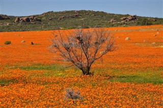 South Africa weather forecast