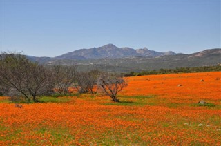 South Africa weather forecast