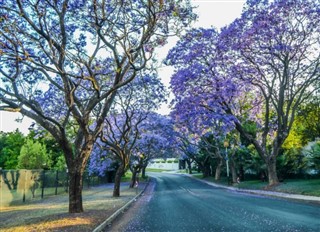 South Africa weather forecast