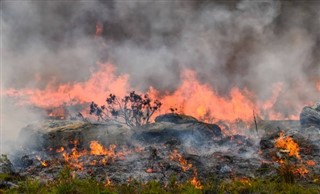 South Africa weather forecast