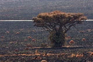 South Africa weather forecast