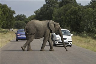 South Africa weather forecast