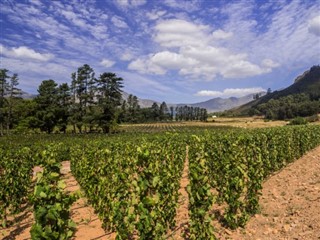 South Africa weather forecast