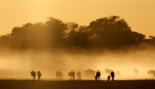 Sudáfrica pronóstico del tiempo