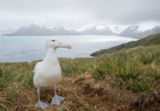 South Georgia The South Sandwich Islands weather forecast