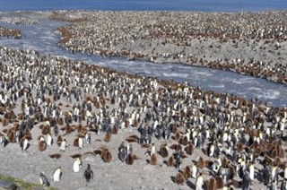 Islas Sandwich del Sur Georgia del sur pronóstico del tiempo