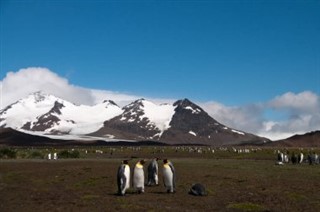 South Georgia The South Sandwich Islands weather forecast