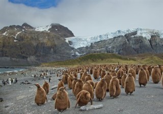 South Georgia The South Sandwich Islands weather forecast