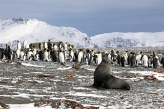 South Georgia The South Sandwich Islands weather forecast