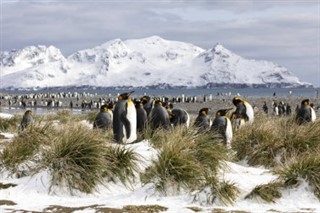 South Georgia The South Sandwich Islands weather forecast