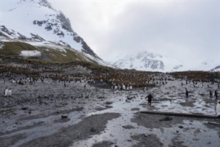 South Georgia The South Sandwich Islands weather forecast