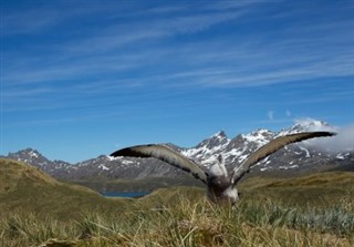 South Georgia The South Sandwich Islands weather forecast