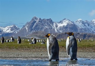 Islas Sandwich del Sur Georgia del sur pronóstico del tiempo