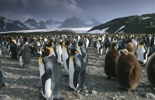 Islas Sandwich del Sur Georgia del sur pronóstico del tiempo