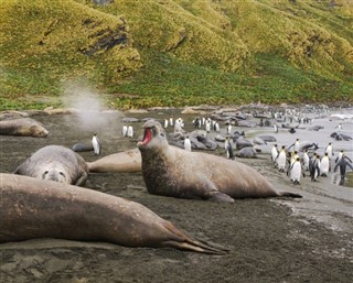 South Georgia The South Sandwich Islands weather forecast