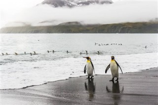 Islas Sandwich del Sur Georgia del sur pronóstico del tiempo