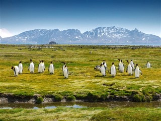 South Georgia The South Sandwich Islands weather forecast