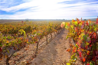 Spain weather forecast