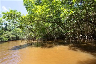 Surinam pronóstico del tiempo