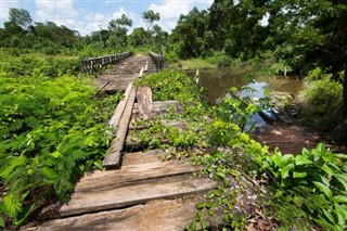 Suriname weather forecast