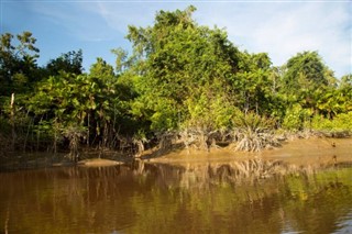 Suriname weather forecast