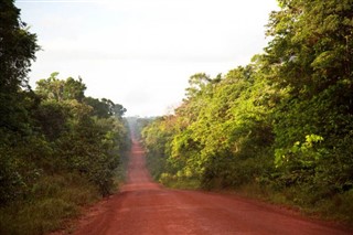 Suriname weather forecast