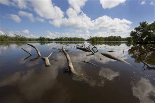 Suriname weather forecast