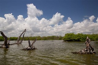 Suriname weather forecast