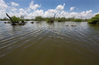 Suriname weather forecast