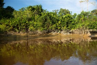 Suriname weather forecast