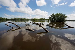 Suriname weather forecast