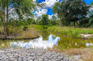 Suriname weather forecast