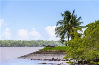 Suriname weather forecast