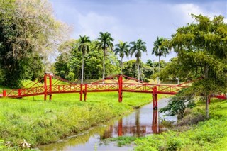 Suriname weather forecast