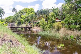 Suriname weather forecast