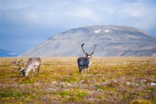 Svalbard prognoza pogody