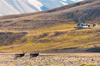 Svalbard weather forecast