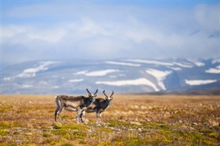 Svalbard prognoza pogody