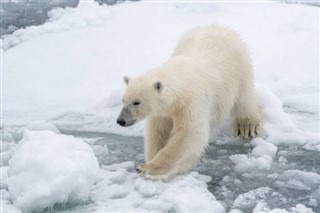 Svalbard weather forecast