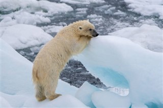 Svalbard weather forecast