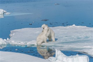 Svalbard weather forecast