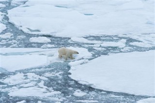 Svalbard weather forecast