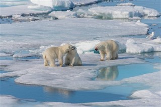 Svalbard weather forecast