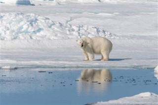 Svalbard weather forecast