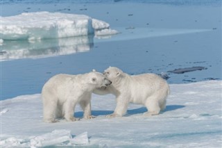 Svalbard vremenska prognoza