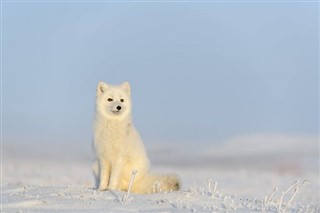 Svalbard vremenska prognoza