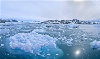 Svalbard pronóstico del tiempo