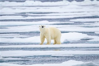 Svalbard weather forecast