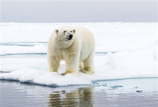 Svalbard prognoza pogody